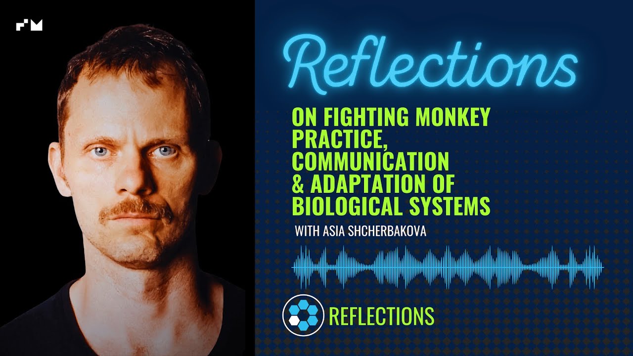 Reflections: Jozef Frucek- On Fighting Monkey, Communication & Adaptation of Biological Systems